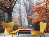 Natural Design Non-Woven Wallpaper Mural For Living Room, Bedroom, Office "Autumn Forest In Shimmering Orange Leaves"