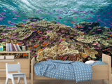 3D Non-Woven Wall Mural With Marine Print – “School Of Fish Among Corals” For Office & Room Desing
