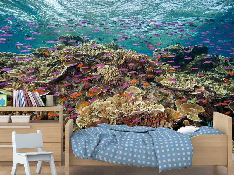 3D Non-Woven Wall Mural With Marine Print – “School Of Fish Among Corals” For Office & Room Desing