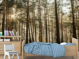 🌲Natural Print Self-Adhesive Wall Murals "Forest With Sun Rays", Photo Wallpaper For Home Decoration🌲