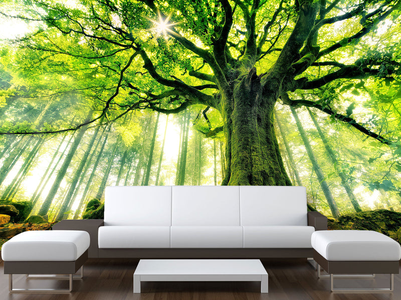 Modern Non-Woven Wallpaper "Tree of Life" — Art Design for a Cozy Living Room or Bedroom