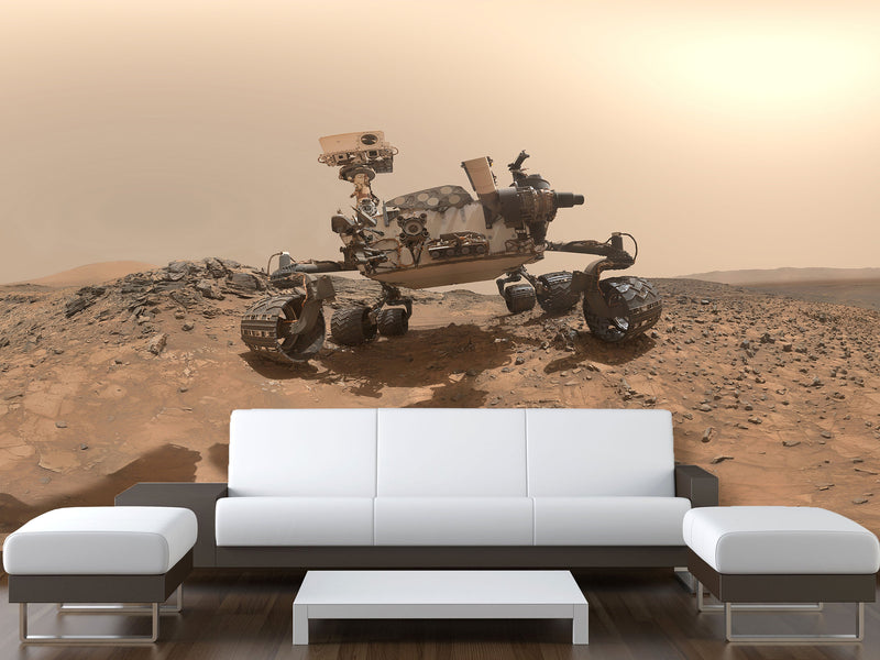 Peel & Stick Vinyl Wallpaper Space Design for Living Room or Office Print Mars Rover Wall Mural