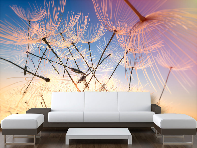 Peel & Stick Mural For Full Wall Photo Wallpaper – Dandelion in the Wind | Home Wall Desing