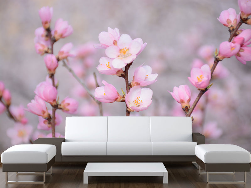 Peel and Stick Oracal film for bedroom, hall, kitchen decor “Sakura flowers”