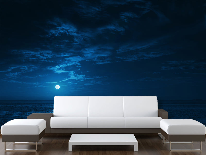 Non-Woven Mural Full Wall for Bedroom & Kitchen Print Moonlit Ocean at Night