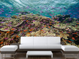 3D Non-Woven Wall Mural With Marine Print – “School Of Fish Among Corals” For Office & Room Desing