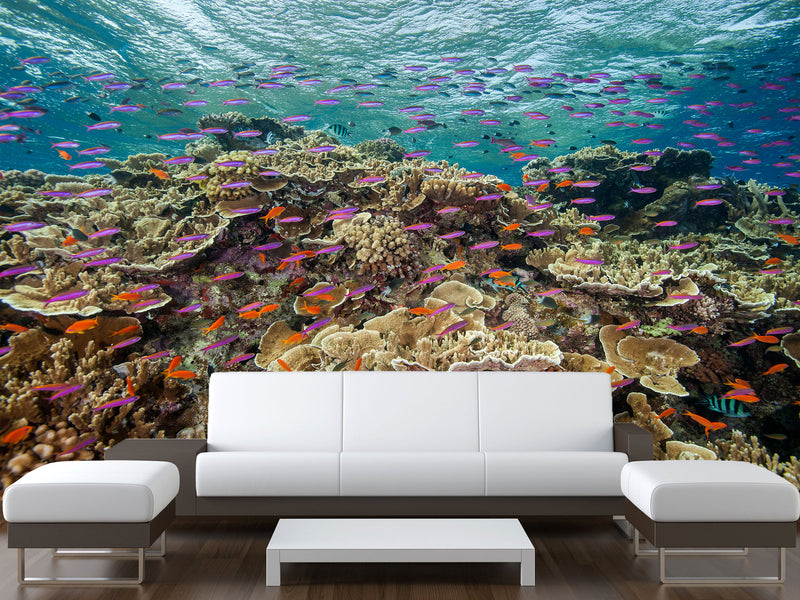3D Non-Woven Wall Mural With Marine Print – “School Of Fish Among Corals” For Office & Room Desing