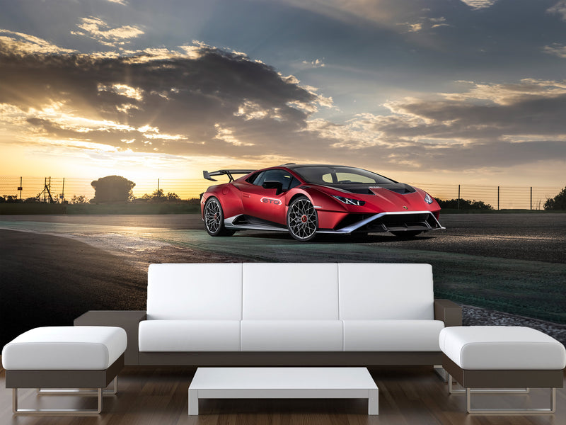 Non-Woven Mural Wallpaper For Gym Or Room – "Sports Car: Power And Nature", Decor For Bedroom
