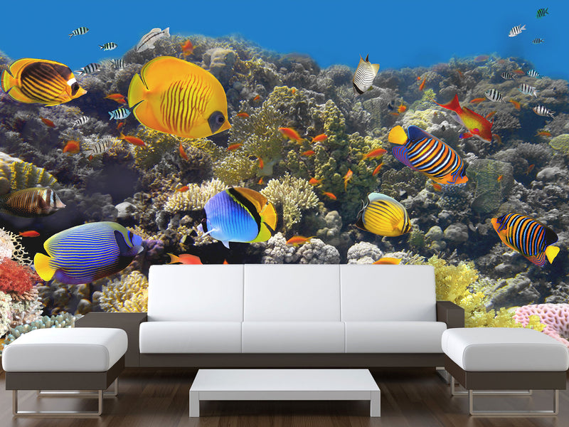 Nature Print Self-Adhesive Wallpaper "Fascinating Underwater World" – For School, Teen Room, Office 🌊