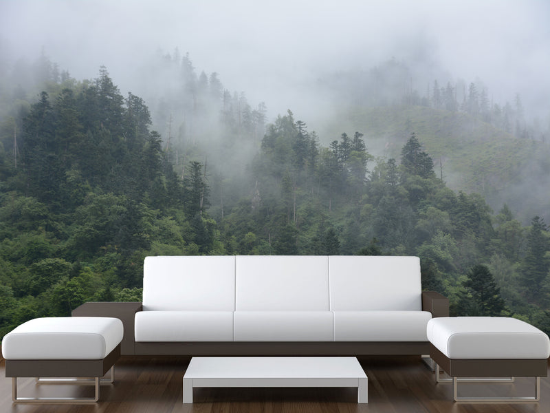 Peel and Stick 3d photo wallpaper “Morning fog in the forest” , Oracal film for home decoration