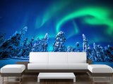 Non-Woven Full Wall Mural Wallpaper Northern Lights in a Winter Forest For Lounge Area, Bedroom, Or Reception