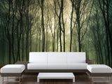 Peel & Stick Mural For  Office, Living Room & Bedroom - Forest Thicket Print