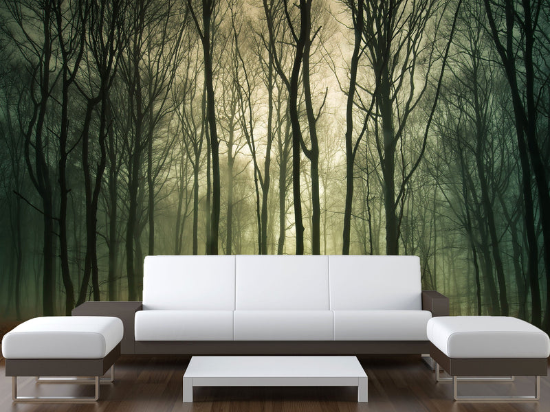 Peel & Stick Mural For  Office, Living Room & Bedroom - Forest Thicket Print