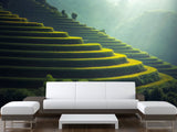 Non-Woven Photo Wallpaper Print For Living Room Or Bedroom "Asian Landscape" Creating Calmness At Home