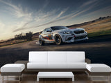 Peel and Stik Mural Full Print Wall Print High-Speed Racing Car Poster for Gym or Game Room Decor