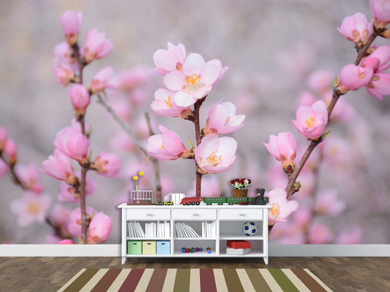 Peel and Stick Oracal film for bedroom, hall, kitchen decor “Sakura flowers”