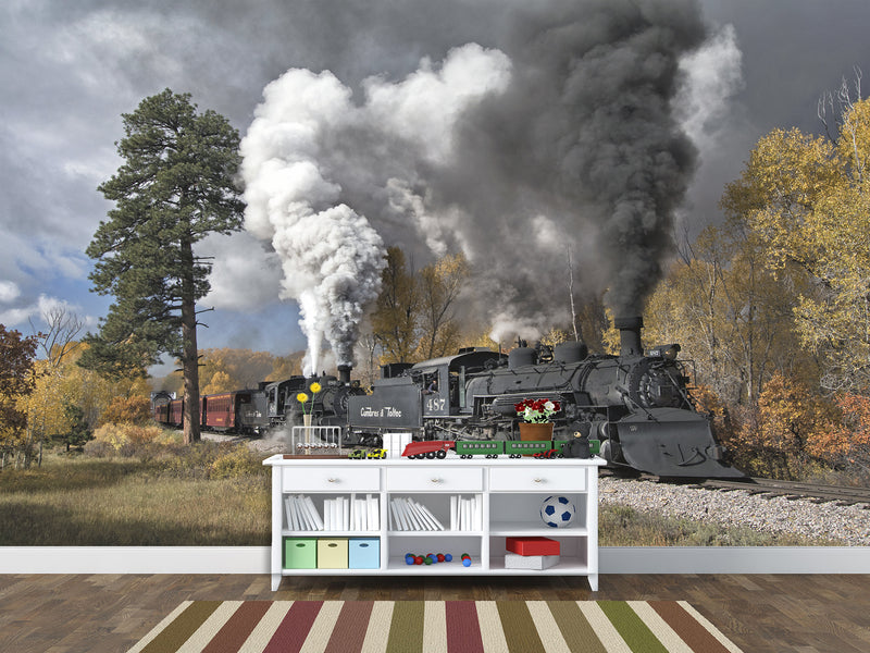 Peel and Stick Full Wall Mural Print For Living Room, Bedroom, Workspace "Train" Combination Of Technology And Nature