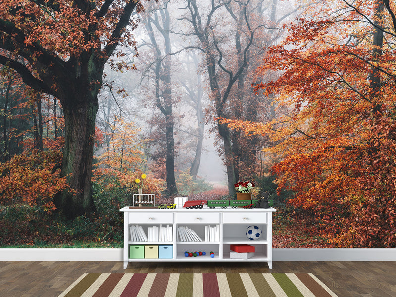 Natural Design Non-Woven Wallpaper Mural For Living Room, Bedroom, Office "Autumn Forest In Shimmering Orange Leaves"