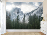 Incredible Traditional Mural for Living Room, Office, Reception "Winter Mountain Landscape"