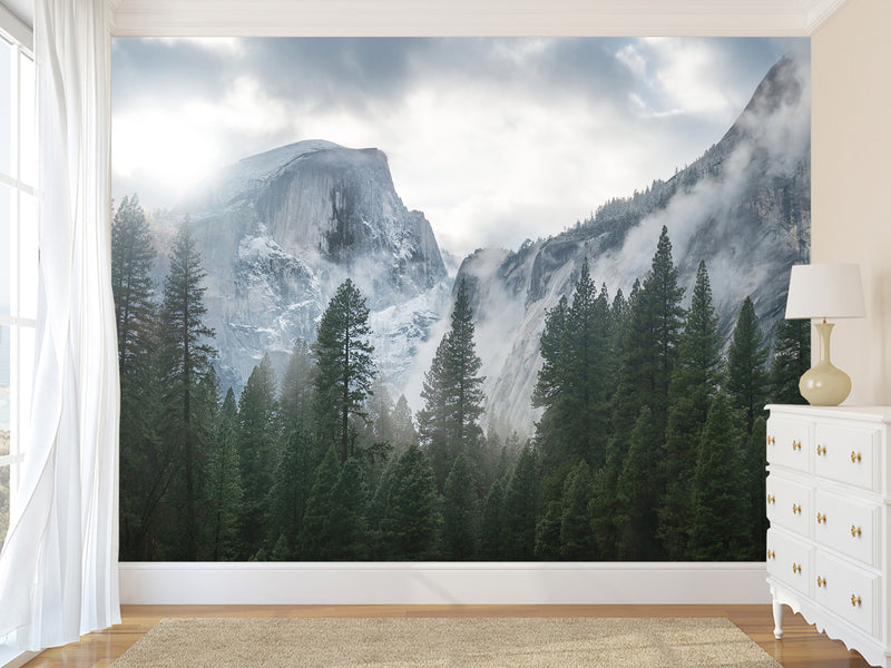 Incredible Traditional Mural for Living Room, Office, Reception "Winter Mountain Landscape"
