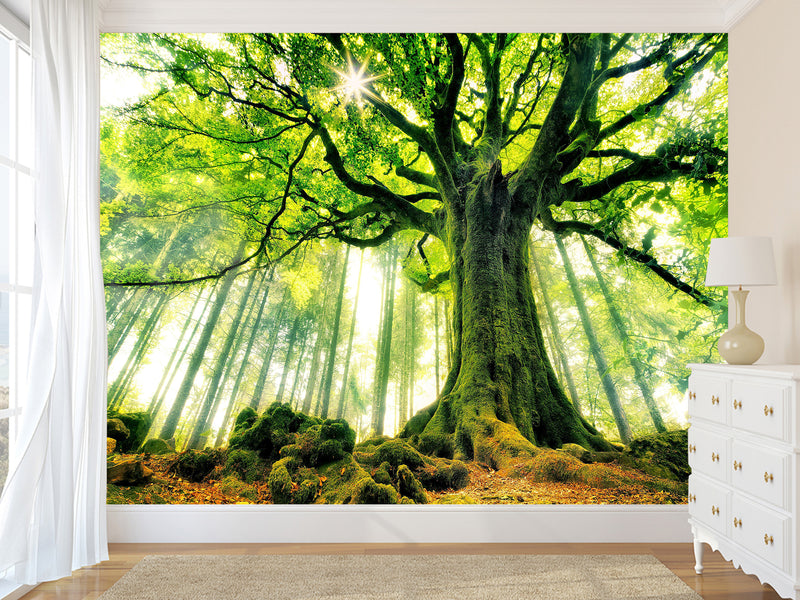 Modern Non-Woven Wallpaper "Tree of Life" — Art Design for a Cozy Living Room or Bedroom