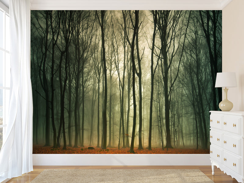 Peel & Stick Mural For  Office, Living Room & Bedroom - Forest Thicket Print