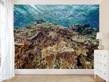 3D Non-Woven Wall Mural With Marine Print – “School Of Fish Among Corals” For Office & Room Desing