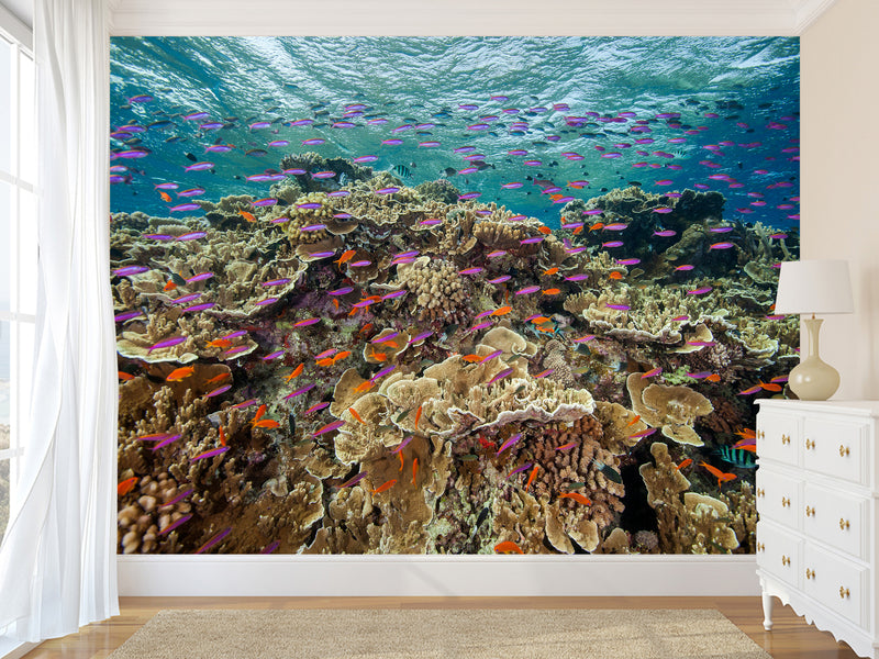 3D Non-Woven Wall Mural With Marine Print – “School Of Fish Among Corals” For Office & Room Desing