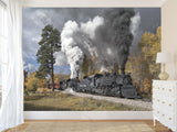 Peel and Stick Full Wall Mural Print For Living Room, Bedroom, Workspace "Train" Combination Of Technology And Nature