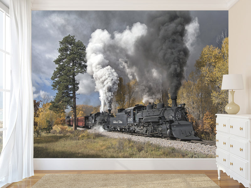 Peel and Stick Full Wall Mural Print For Living Room, Bedroom, Workspace "Train" Combination Of Technology And Nature