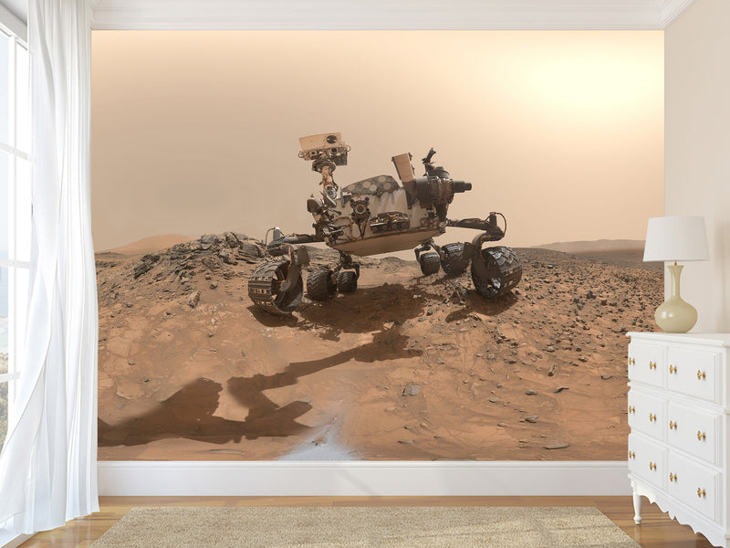 Peel & Stick Vinyl Wallpaper Space Design for Living Room or Office Print Mars Rover Wall Mural