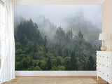 Peel and Stick 3d photo wallpaper “Morning fog in the forest” , Oracal film for home decoration