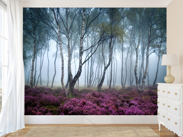 Peel and Stick Wallpaper with Fast Production for Bedroom & Living Room - Misty Birch Forest