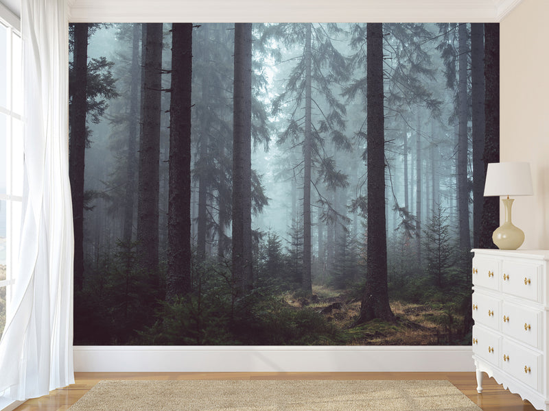 Stylish Wallpaper with Natural Print, Wall Mural for Home 'Forest in the Mist', Non-Woven Wall Mural with Design