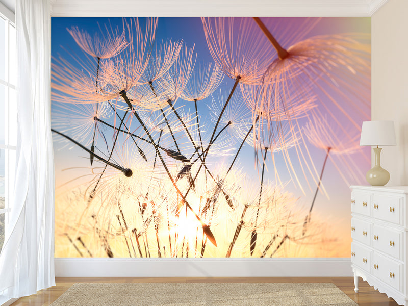 Peel & Stick Mural For Full Wall Photo Wallpaper – Dandelion in the Wind | Home Wall Desing