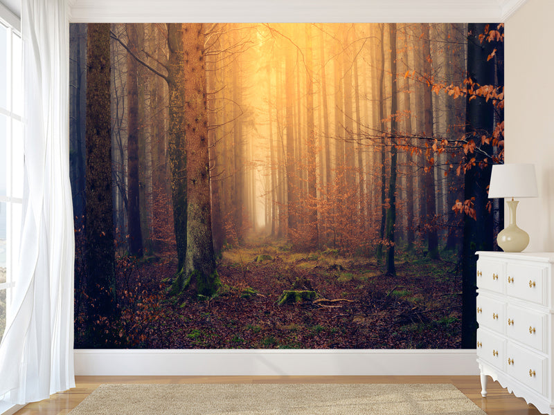 Modern Self-Adhesive Wallpaper "Autumn Forest" — Art Print for Office, Study, and Living Room