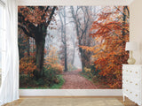 Natural Design Non-Woven Wallpaper Mural For Living Room, Bedroom, Office "Autumn Forest In Shimmering Orange Leaves"