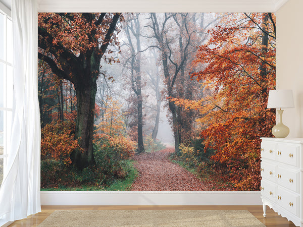 Natural Design Non-Woven Wallpaper Mural For Living Room, Bedroom, Office "Autumn Forest In Shimmering Orange Leaves"