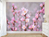 Peel and Stick Oracal film for bedroom, hall, kitchen decor “Sakura flowers”