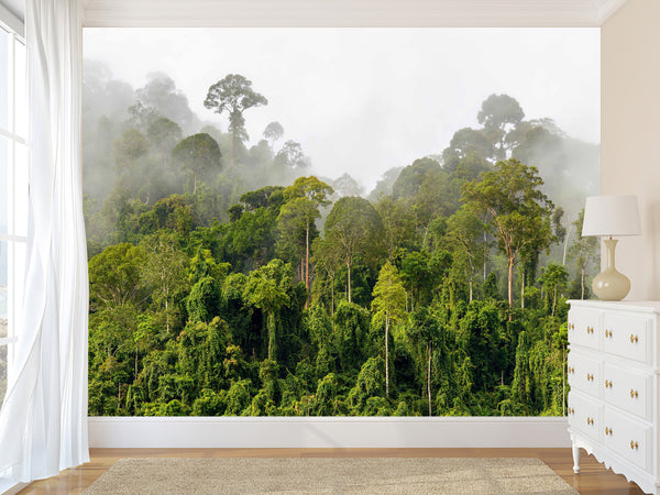 Peel & Stick Mural For Office, Living Room & Bedroom - Amazon Rainforest in Mist