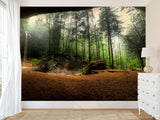 Non-Woven Mural Wallpaper Mural For Home, Office, Or Apartment Interior Decor - Art Cave View Of A Foggy Forest