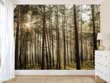 🌲Natural Print Self-Adhesive Wall Murals "Forest With Sun Rays", Photo Wallpaper For Home Decoration🌲