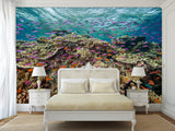 3D Non-Woven Wall Mural With Marine Print – “School Of Fish Among Corals” For Office & Room Desing