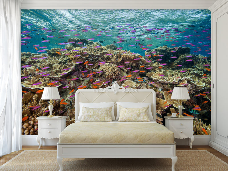 3D Non-Woven Wall Mural With Marine Print – “School Of Fish Among Corals” For Office & Room Desing