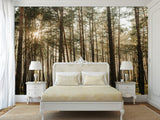 🌲Natural Print Self-Adhesive Wall Murals "Forest With Sun Rays", Photo Wallpaper For Home Decoration🌲