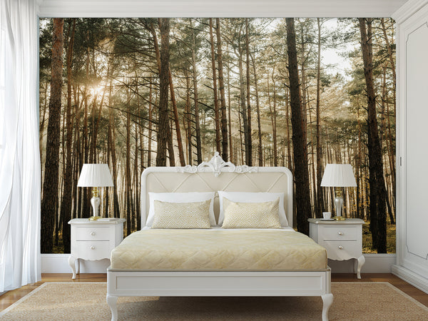 🌲Natural Print Self-Adhesive Wall Murals "Forest With Sun Rays", Photo Wallpaper For Home Decoration🌲