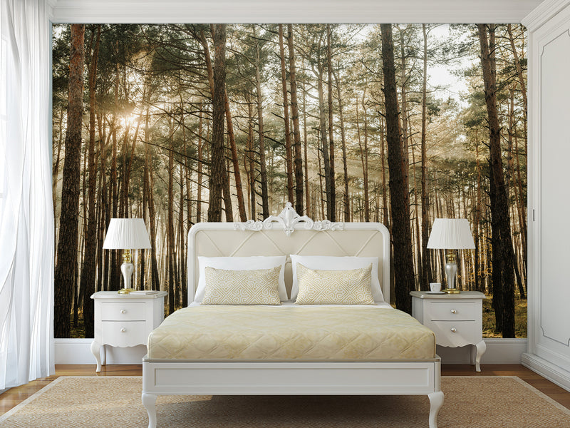 🌲Natural Print Self-Adhesive Wall Murals "Forest With Sun Rays", Photo Wallpaper For Home Decoration🌲