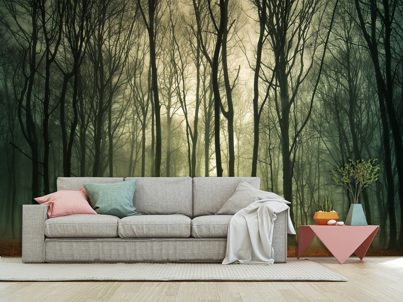 Peel & Stick Mural For  Office, Living Room & Bedroom - Forest Thicket Print