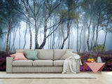 Peel and Stick Wallpaper with Fast Production for Bedroom & Living Room - Misty Birch Forest