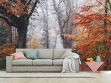 Natural Design Non-Woven Wallpaper Mural For Living Room, Bedroom, Office "Autumn Forest In Shimmering Orange Leaves"